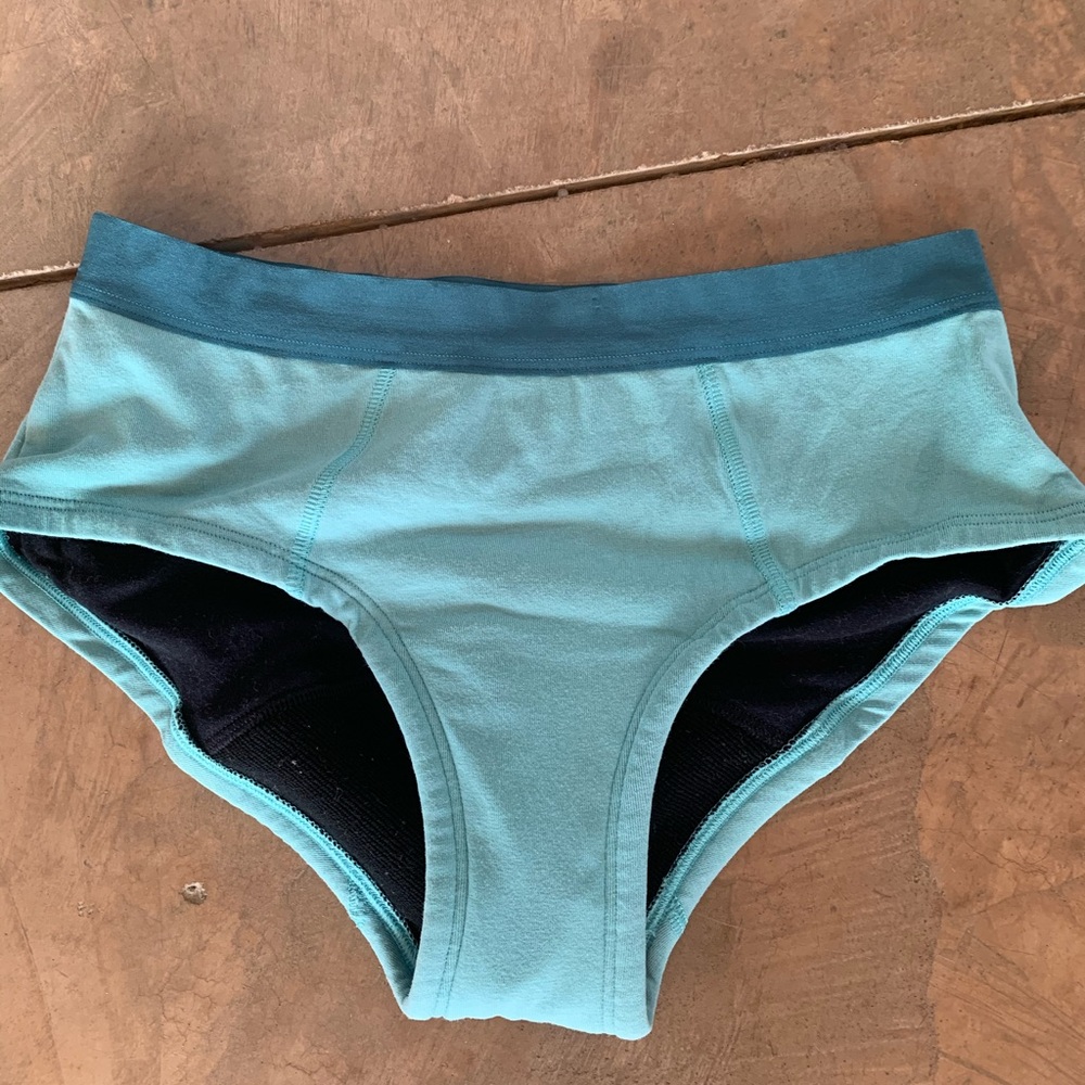 thinx organic period brief
